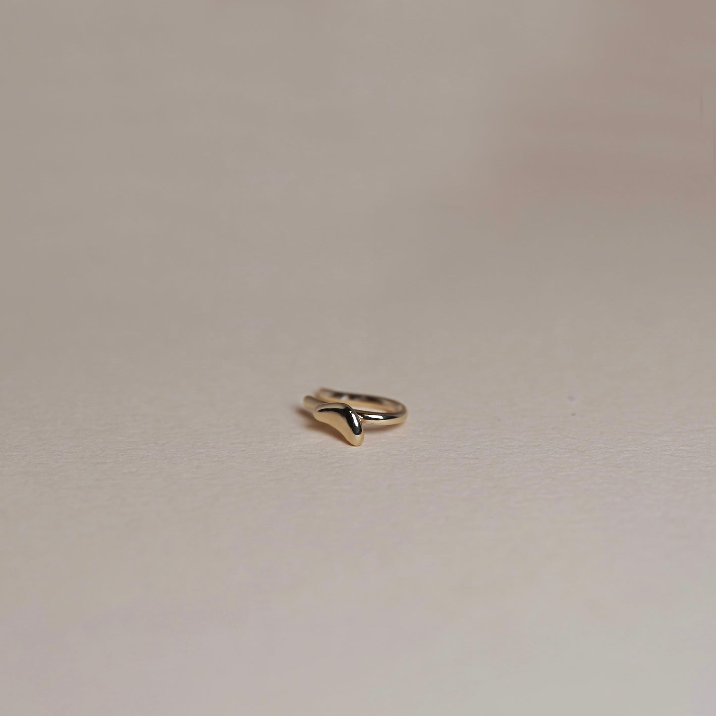 rosée(earring)